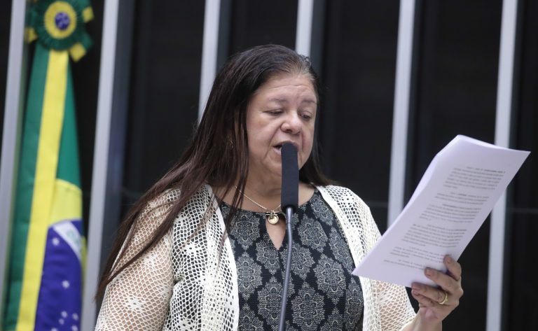 Deputada Laura Carneiro (PSD-RJ) fala no Plenário da Câmara dos Deputados