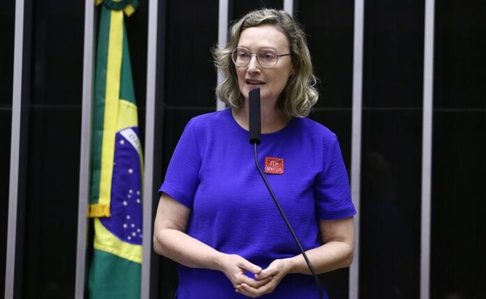 Discussão e votação de propostas legislativas. Dep. Maria do Rosário (PT - RS)