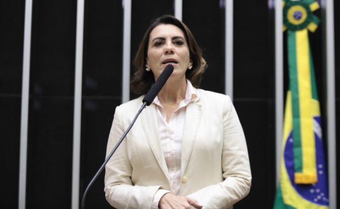 Discussão e votação de propostas. Dep. Rosana Valle (PL-SP)