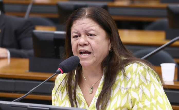 Audiência Pública - Malha ferroviária na Baixada Fluminense. Dep. Laura Carneiro (PSD - RJ)