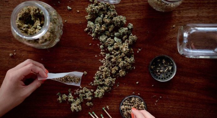 Relatório sobre drogas revela que cannabis está no topo da lista dos usuários