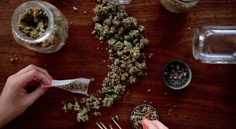 Relatório sobre drogas revela que cannabis está no topo da lista dos usuários