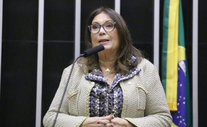 Discussão e Votação de Propostas Legislativas. Dep. Bia Kicis (PL - DF)