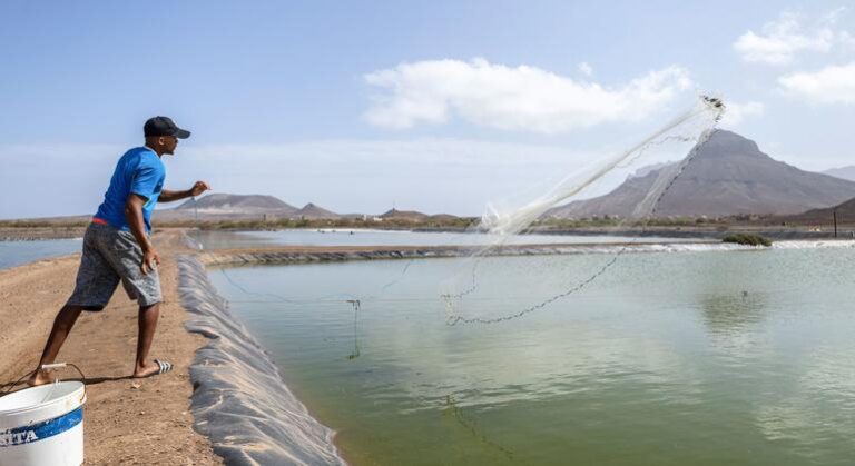 FAO elogia entrada em vigor de acordo internacional para proteger pesca