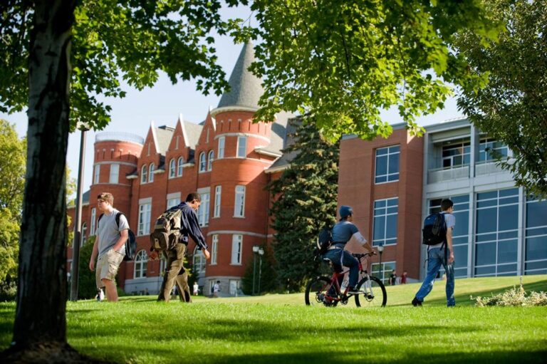 Governança acadêmica e pesquisa digital: como universidades norte-americanas de médio porte ganham espaço global