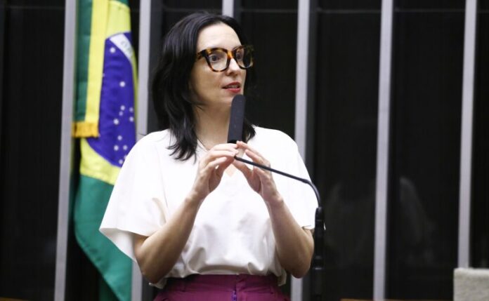 Discussão e Votação de Propostas Legislativas. Dep. Ana Pimentel (PT-MG)