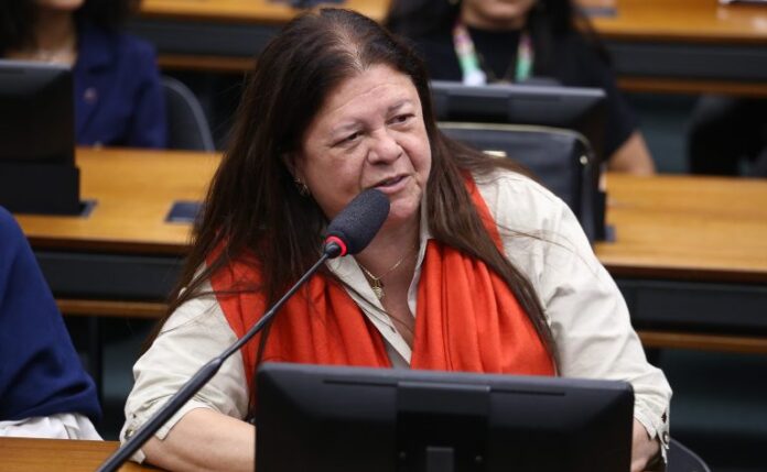 Audiência Pública - Prevenção no ambiente online. Dep. Laura Carneiro (PSD - RJ)