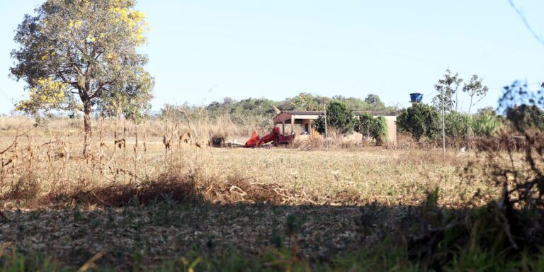 Defesa de fazendeiros em Goiás contesta decisão sobre quilombolas