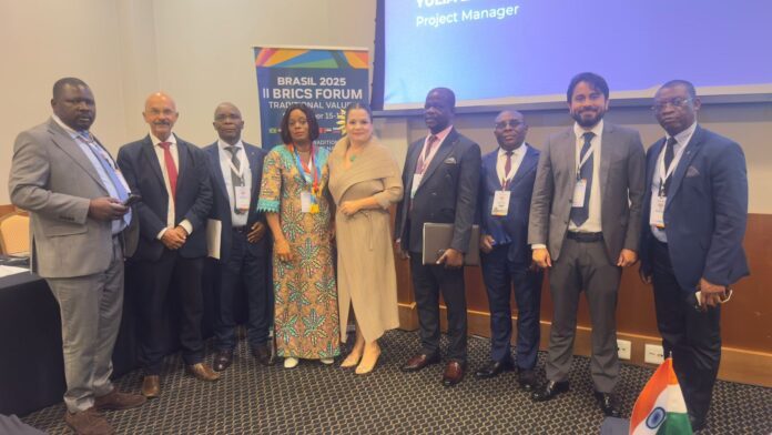 BRICS 2025