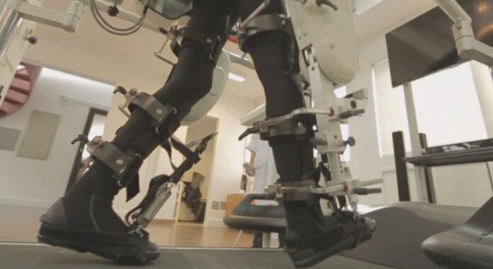 OMS pede proteções legais para a IA na saúde à OMS pede proteções legais para a IA na saúde à medida que o uso aumenta