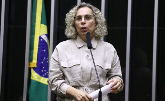 Comissão aprova inclusão da Defensoria Pública na fiscalização de abrigos Discussão e Votação de Propostas Legislativas. Dep. Ana Paula Lima (PL - SC)