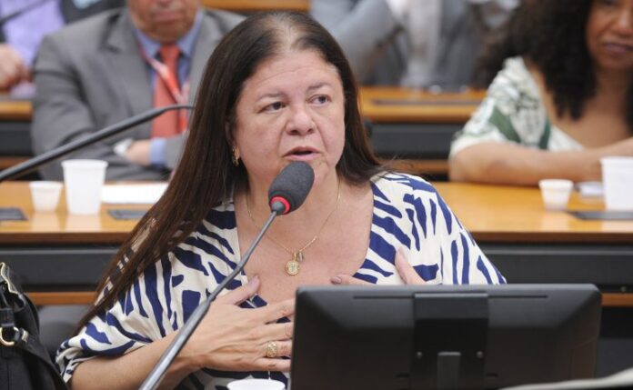 Comissão aprova atendimento acessível a mulheres com deficiência vítimas de Audiência Pública - Sistema Penitenciário e atuação de organizações criminosas em presídios. Dep. Laura Carneiro (PSD - RJ)