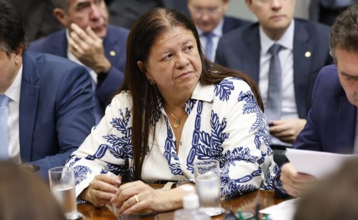 Reunião com o ministro da Educação, Camilo Santana. Dep. Laura Carneiro (PSD-RJ).