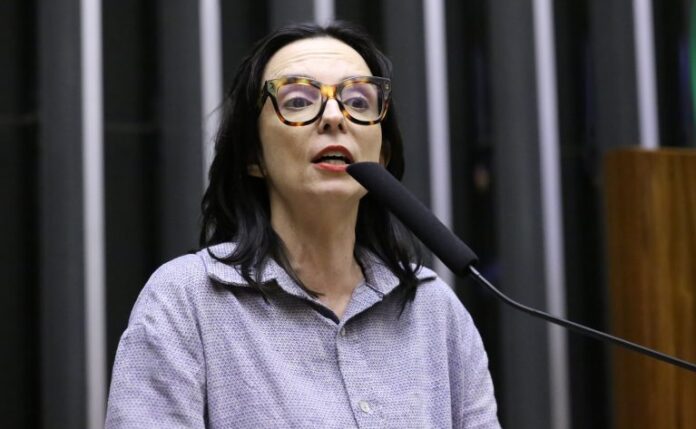 Discussão e votação de propostas legislativas. Dep. Ana Pimentel (PT - MG)