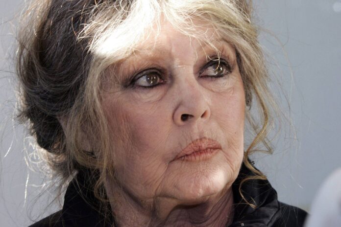 Brigitte Bardot pede calma após rumores sobre saúde - 30/11/2025 - Ilustrada