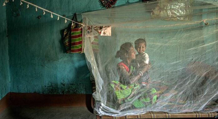 Resistência a medicamentos coloca em risco avanços para conter malária