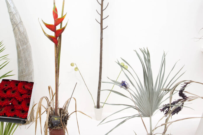 Casa de Lina Bo Bardi é tomada por arranjos florais - 12/12/2025 - Ilustrada