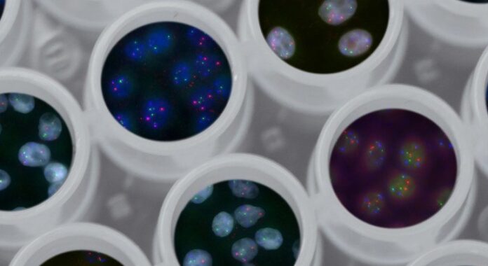 OMS pede uso mais inclusivo da genômica em pesquisas clínicas