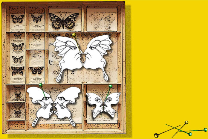O país real desafiou certezas e ilusões normativas em 2025 O país real desafiou certezas e ilusões normativas em 2025 - 30/12/2025 - Wilson Gomes