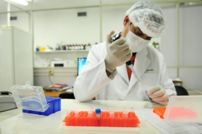 Nova lei amplia coleta de DNA na identificação criminal - Segurança - geral - laboratório pesquisa DNA investigação policial polícia técnica ciência científica