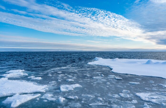 Conheça a "vida estranha" que mora nas profundezas do Ártico