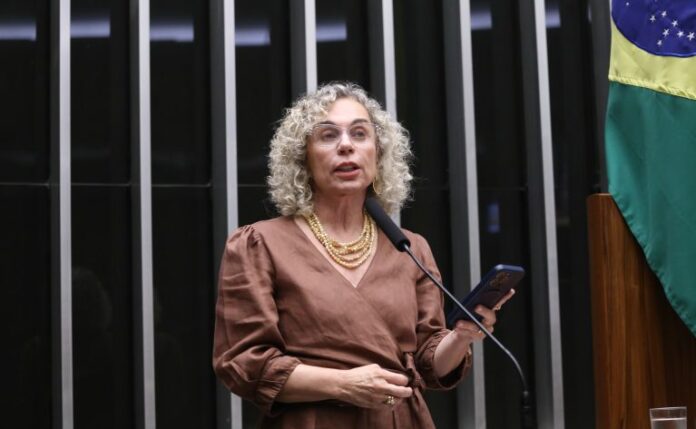 Comissão aprova protocolo de atendimento para tentativas de suicídio de Discussão e votação de propostas legislativas. Dep. Ana Paula Lima (PT - SC)