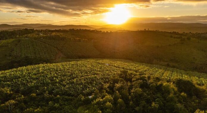 Banco Mundial apoia melhoria dos serviços sociais, de saúde e Banco Mundial apoia melhoria dos serviços sociais, de saúde e educação em Salvador