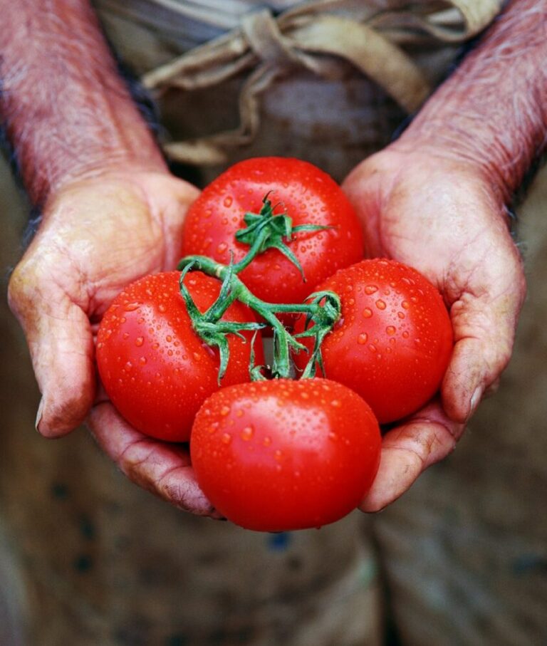 O valor do fazer à mão na gastronomia: tempo, identidade e afeto à mesa
