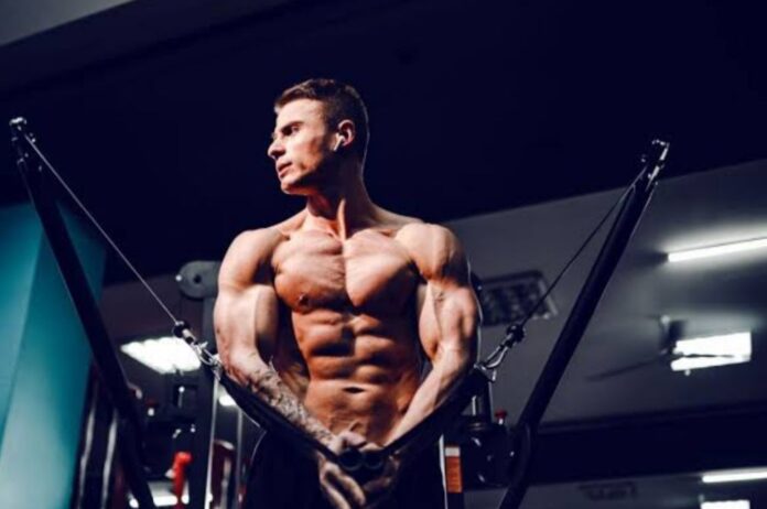 WhatsApp Image 2026-02-02 at 07.34.33