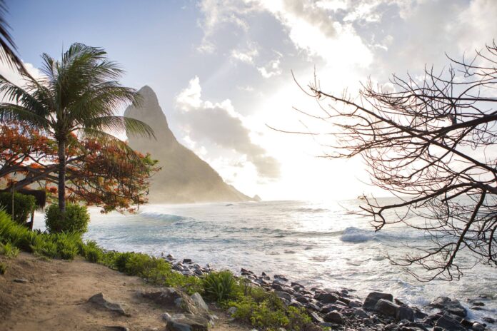Fernando de Noronha aposta no cinema para fomentar cultura - 19/03/2026 - Ilustrada