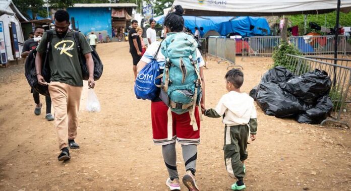 OMS diz que políticas de saúde para migrantes e refugiados OMS diz que políticas de saúde para migrantes e refugiados têm avanços