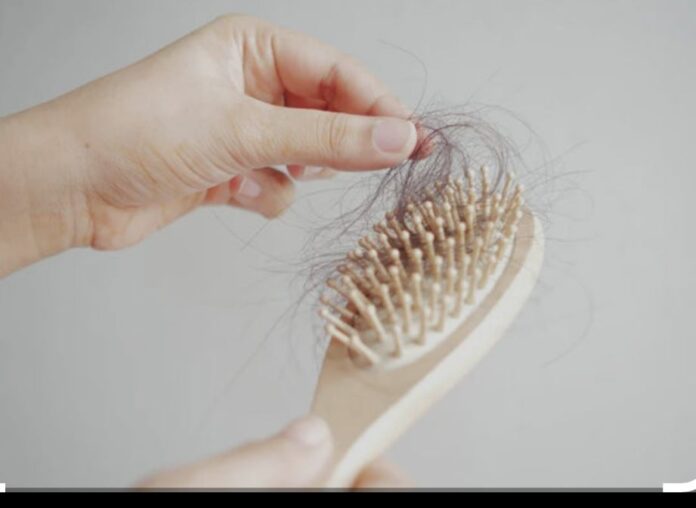 WhatsApp Image 2026-03-18 at 21.01.28 rquivo pessoal