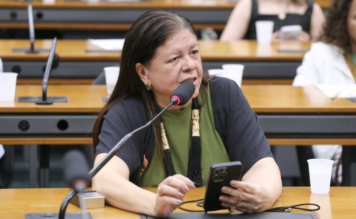 Comissão aprova projeto que amplia pausas para amamentação no trabalho Reunião de Instalação e Eleição de Presidente e Vice-Presidentes. Dep. Laura Carneiro (PSD - RJ)