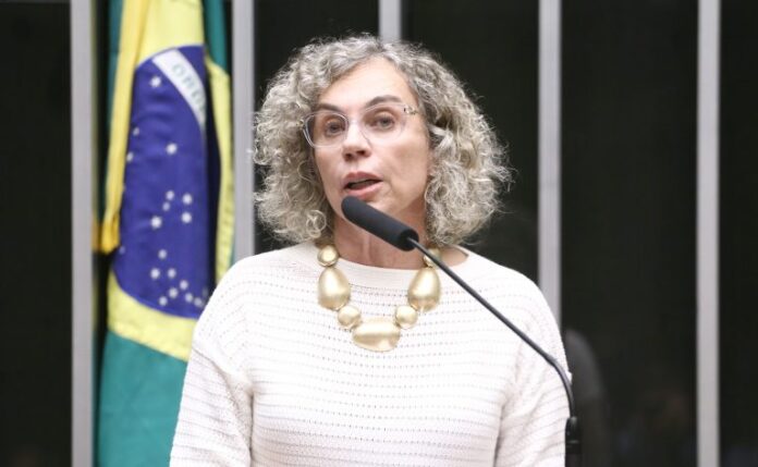 Discussão e votação de propostas legislativas. Dep. Ana Paula Lima (PT - SC)