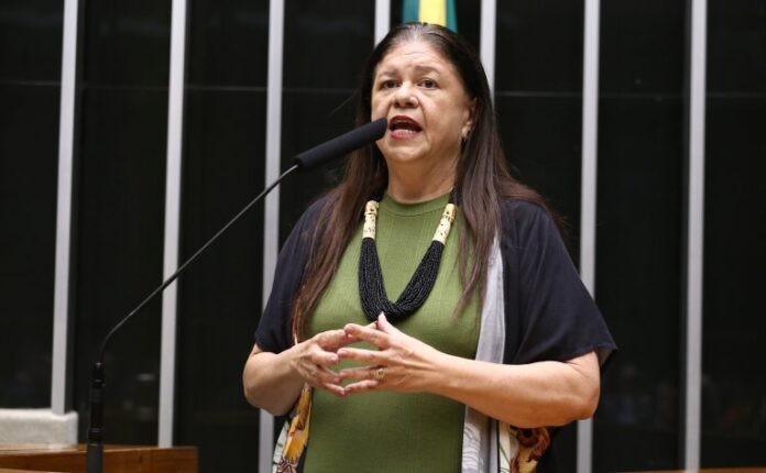 Comissão aprova deduzir salário-maternidade de tributos pagos por pequena empresa Discussão e votação de propostas legislativas. Dep. Laura Carneiro (PSD - RJ)