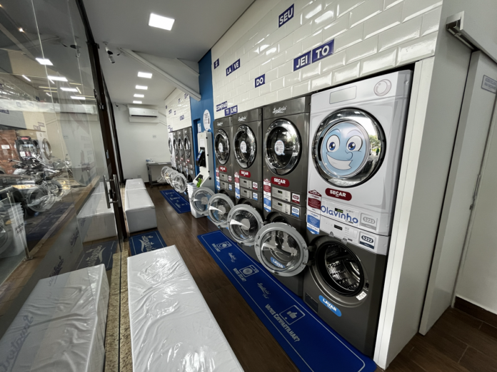 lavateria1 Lavateria