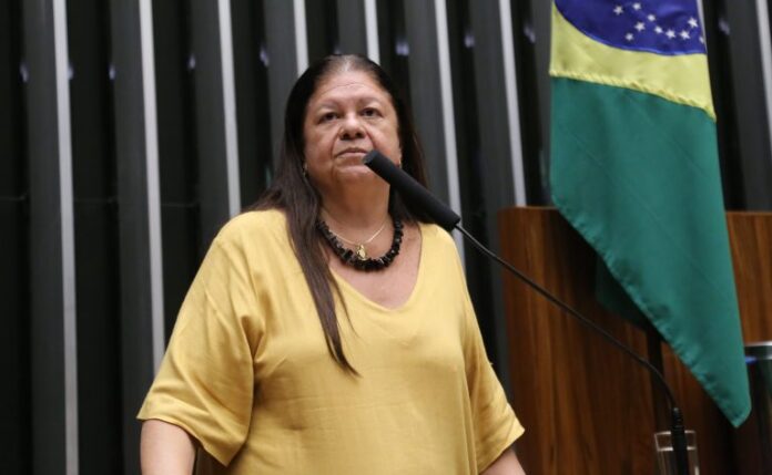 Discussão e votação de propostas legislativas. Dep. Laura Carneiro (PSD - RJ)