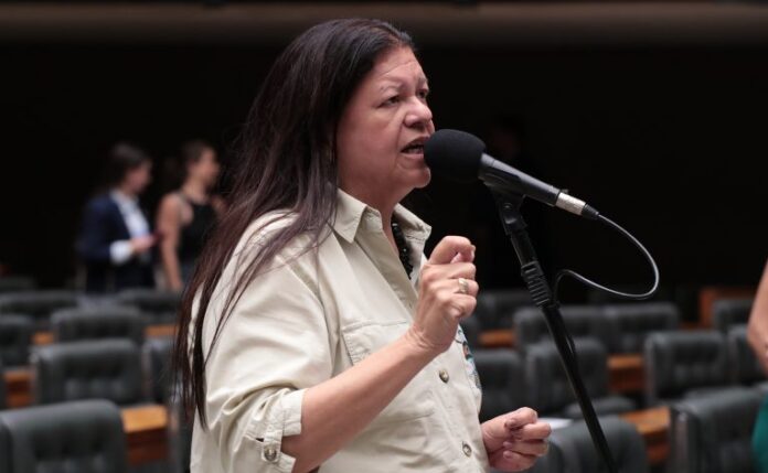 Discussão e votação de propostas legislativas. Dep. Laura Carneiro (PSD - RJ)