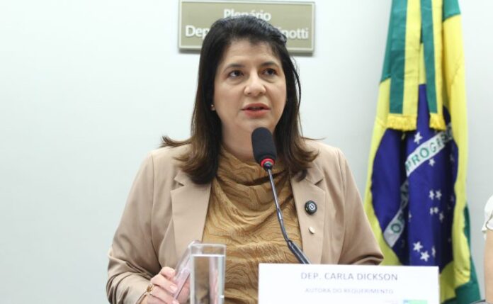 Audiência Pública - Abril Marrom. Dep. Carla Dickson (UNIÃO-RN)