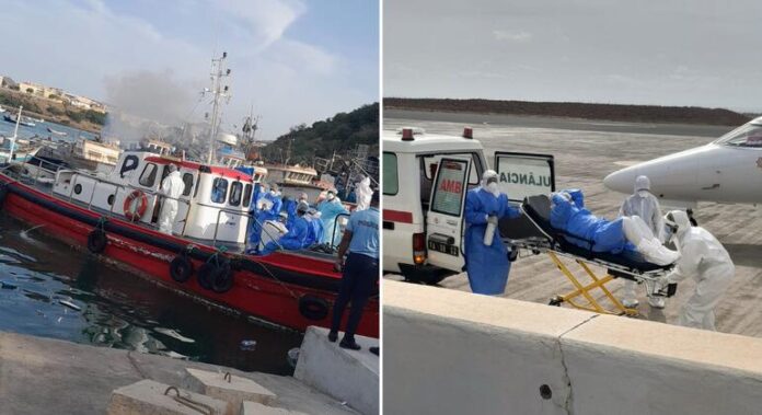 OMS: risco de surto de hantavírus é “absolutamente baixo” e sem comparação ao Covid19