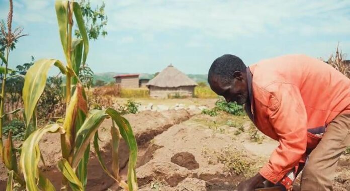 Países africanos apostam na energia nuclear para cobrir défice energético