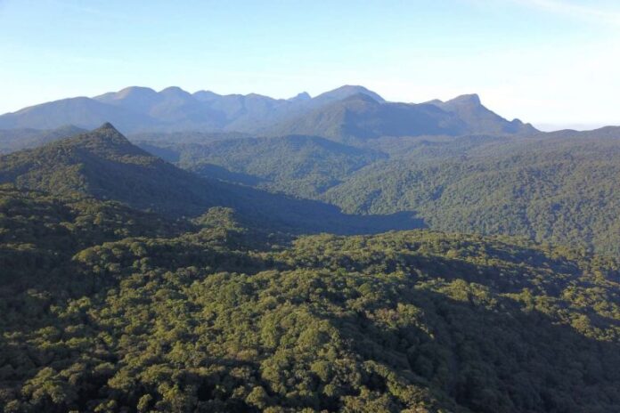 Comissão debate papel da Mata Atlântica na adaptação às mudanças Meio Ambiente - parques e florestas - bioma Mata Atlântica nativa preservação ambiental remanescentes (Mata Atlântica na Serra do Mar, Paraná)