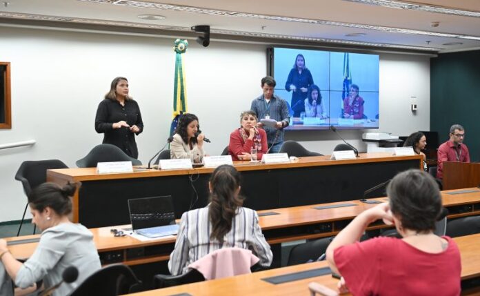 Audiência Pública - Restrição de publicidade para as bebidas alcoólicas. Ministério da Justiça, Mayara Santos. Dep. Erika Kokay (PT - DF)