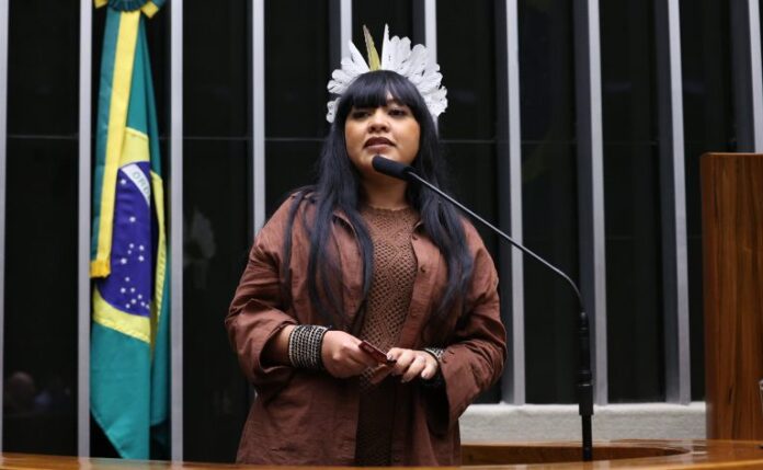 Comissão aprova aumento de pena para agressões no rosto e Discussão e votação de propostas legislativas. Dep. Célia Xakriabá (PSOL-MG)