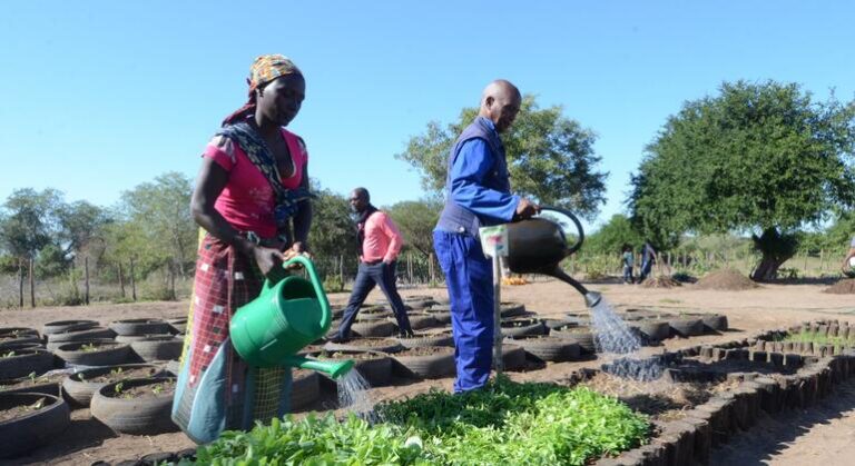 Países precisam diversificar produção para garantir segurança alimentar, diz FAO