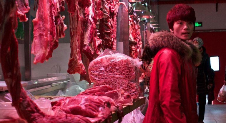 Produção mundial de alimentos de origem animal dispara em seis décadas, diz FAO