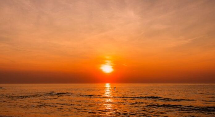 Guia da OMS ensina a enfrentar calor extremo na Europa