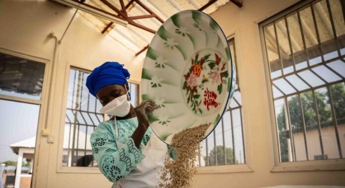 Embora estável, produção agrícola global é vulnerável a efeitos da Embora estável, produção agrícola global é vulnerável a efeitos da guerra e El Niño