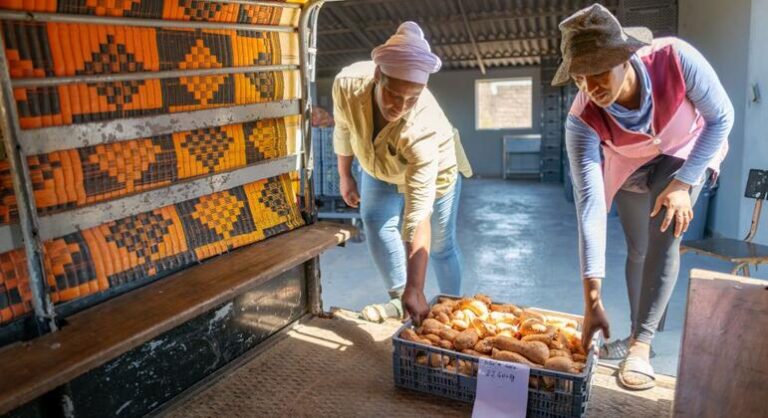 Iniciativa promove emprego jovem em Cabo Verde