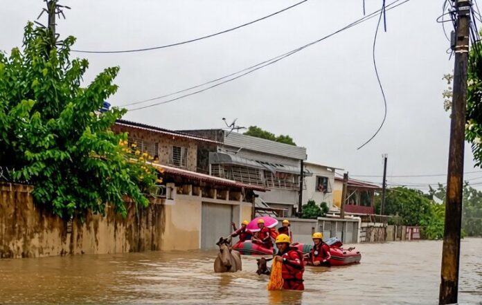 Medida Provisória abre crédito para atingidos por enchentes no Nordeste - Notícias